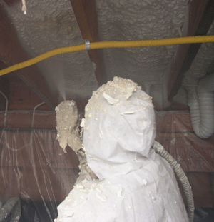 foam insulation for quebec crawl spaces
